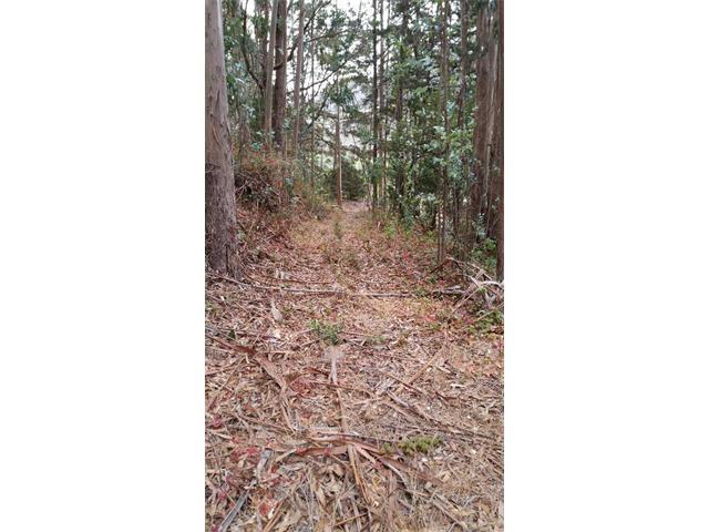 0 San Mateo Drive, HALF MOON BAY, California 94019, ,Lots And Land,For Sale,San Mateo Drive,40966387