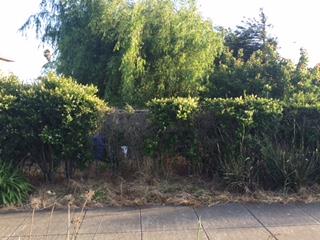 715 Commercial Avenue, SOUTH SAN FRANCISCO, California 94080, ,Lots And Land,For Sale,Commercial Avenue,40966376