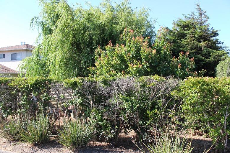 715 Commercial Avenue, SOUTH SAN FRANCISCO, California 94080, ,Lots And Land,For Sale,Commercial Avenue,40966376