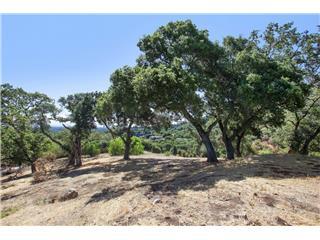 25400 La Loma Drive, LOS ALTOS HILLS, California 94022, ,Lots And Land,For Sale,La Loma Drive,40966329