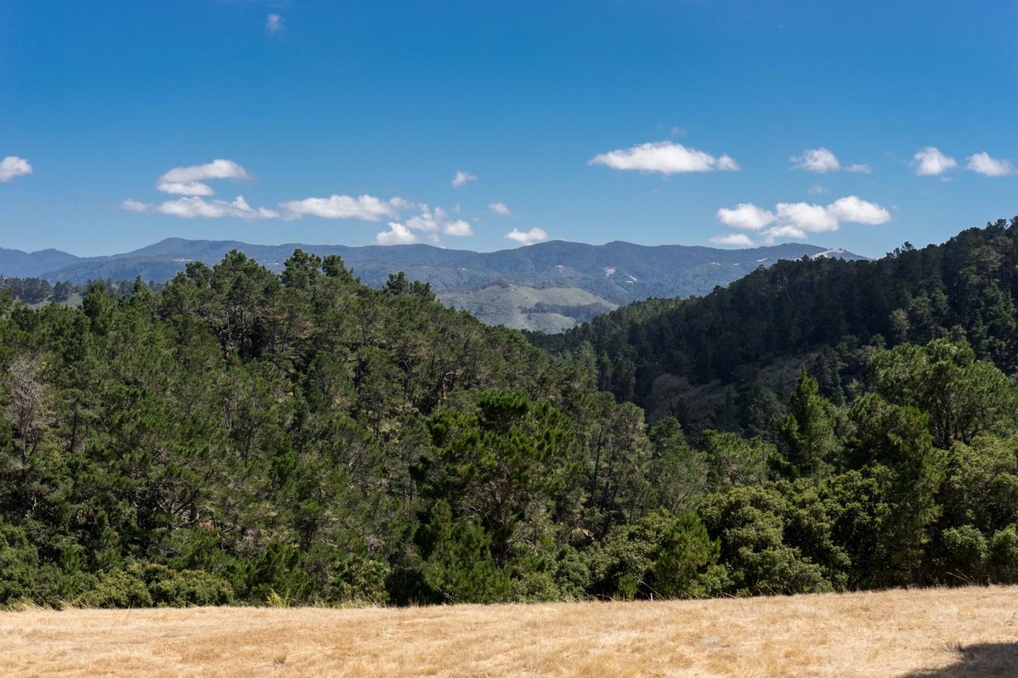 7925 Cinquenta, CARMEL, California 93923, ,Lots And Land,For Sale,Cinquenta,40975427