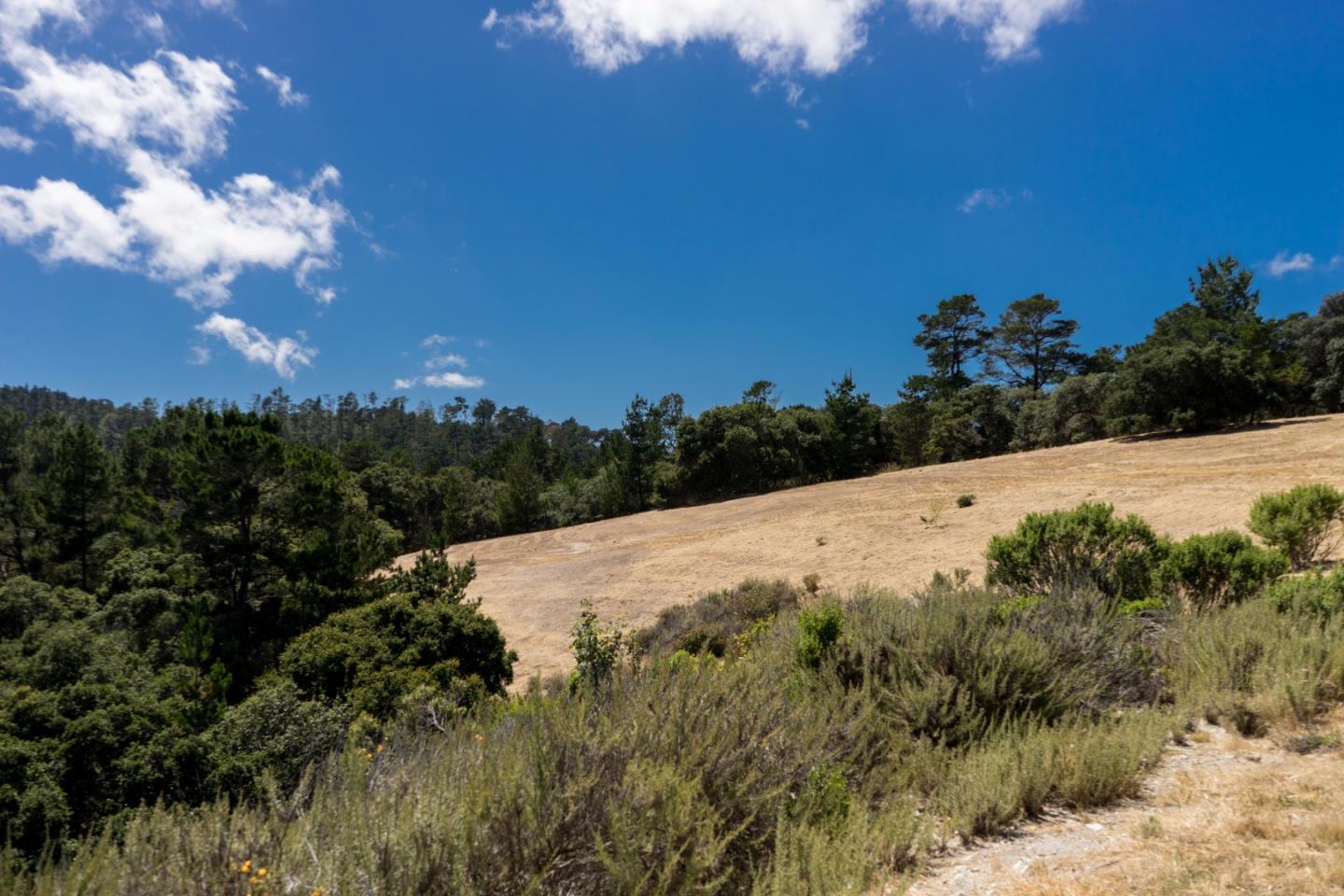 7925 Cinquenta, CARMEL, California 93923, ,Lots And Land,For Sale,Cinquenta,40975427