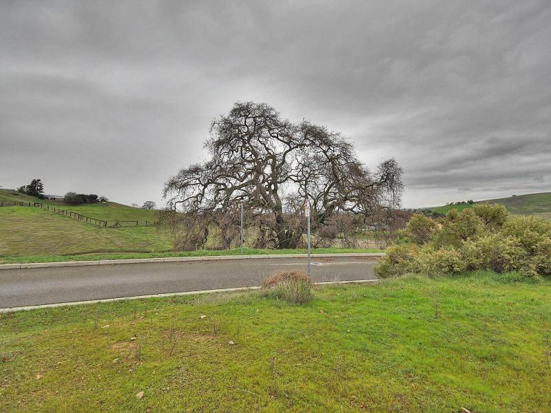 6308 Inspiration Terrace, PLEASANTON, California 94566, ,Lots And Land,For Sale,Inspiration Terrace,40966325