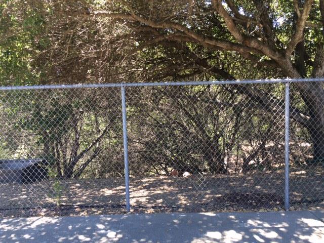 1105 Tahoe Drive, BELMONT, California 94002, ,Lots And Land,For Sale,Tahoe Drive,40966310