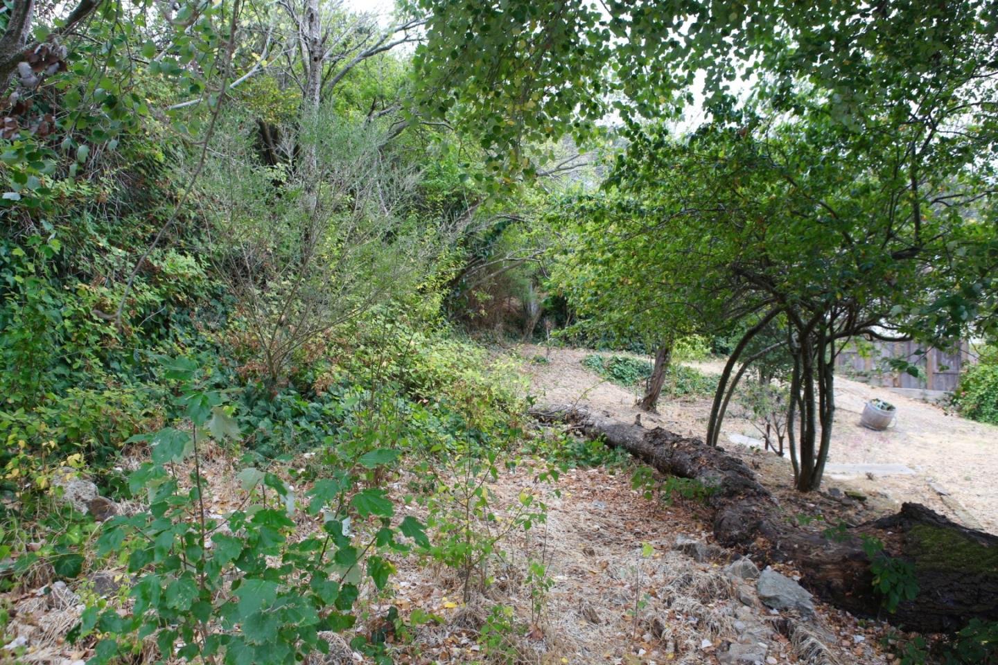 100 Lake Street, BRISBANE, California 94005, ,Lots And Land,For Sale,Lake Street,40967311