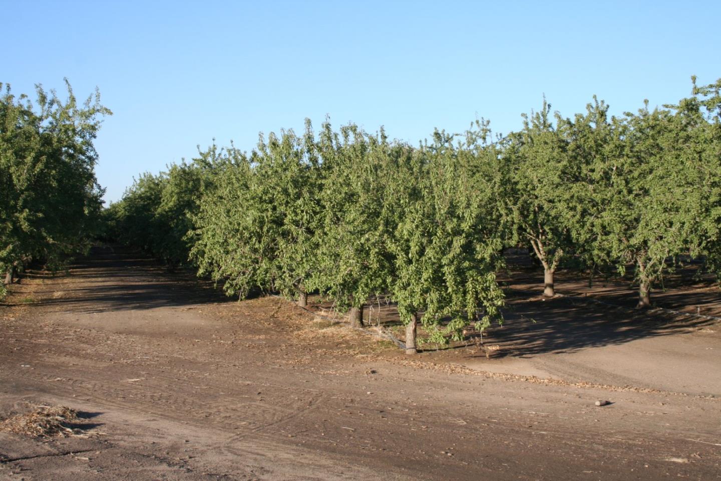 0 Ave 26 1/2 and Santa Fe, CHOWCHILLA, California 93610, ,Comm Lots And Land,For Sale,Ave 26 1/2 and Santa Fe,40962938