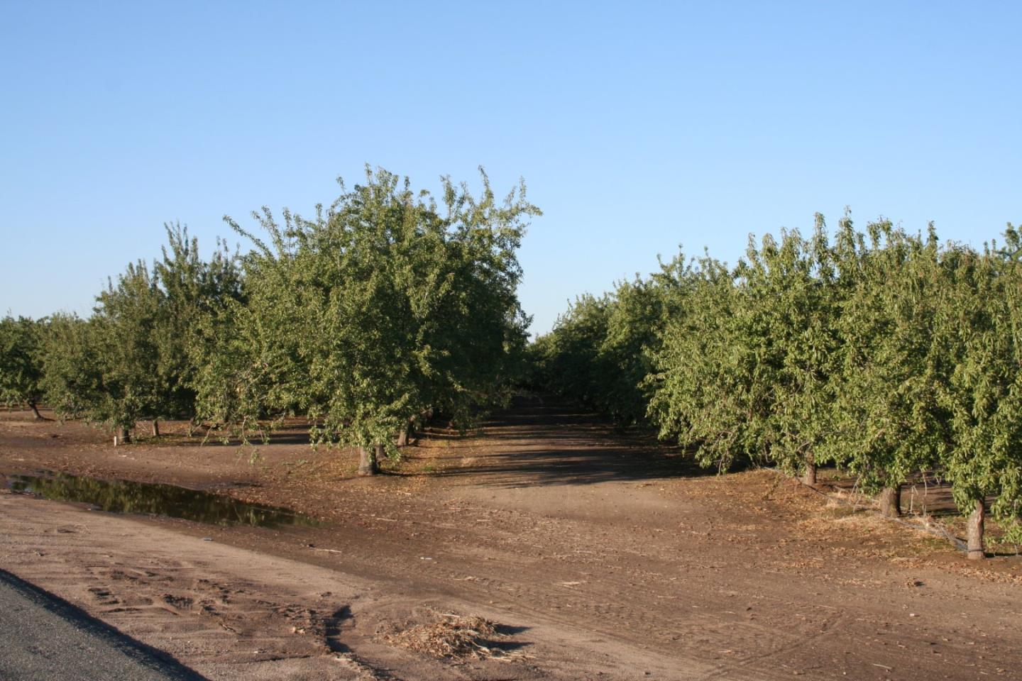 0 Ave 26 1/2 and Santa Fe, CHOWCHILLA, California 93610, ,Comm Lots And Land,For Sale,Ave 26 1/2 and Santa Fe,40962938