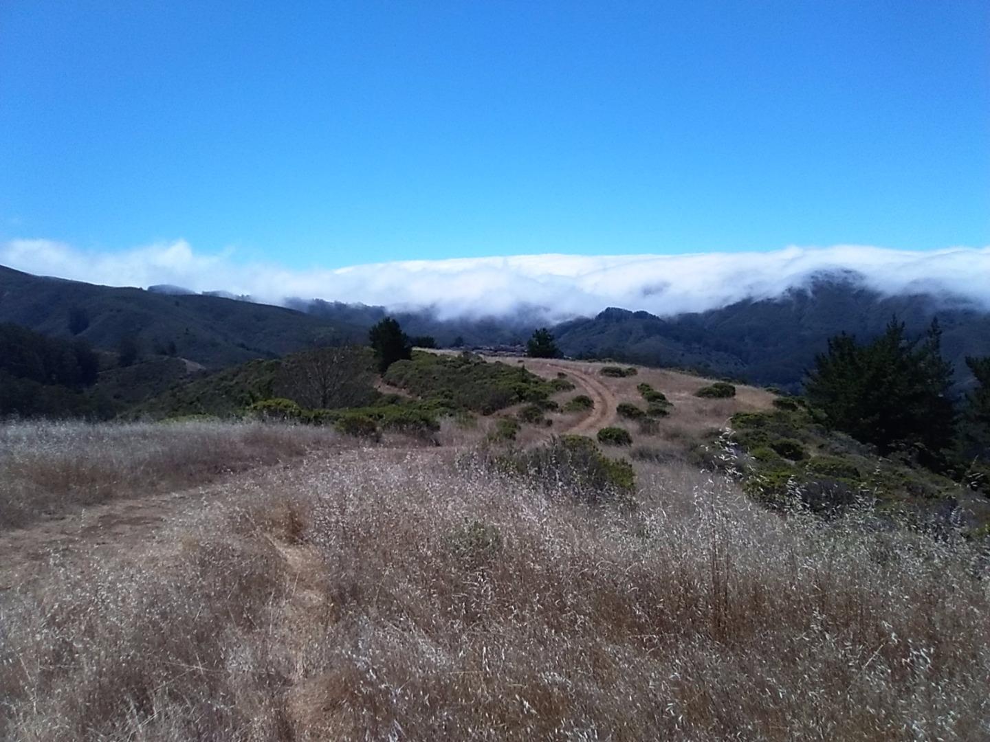 1 Picardo Ranch, PACIFICA, California 94044, ,Lots And Land,For Sale,Picardo Ranch,40967309