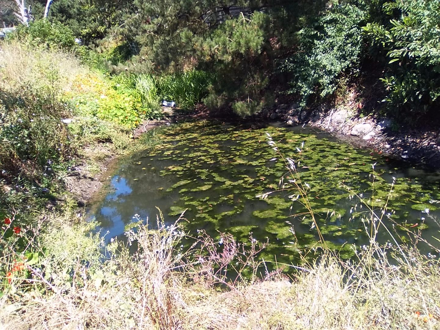 1 Picardo Ranch, PACIFICA, California 94044, ,Lots And Land,For Sale,Picardo Ranch,40967309