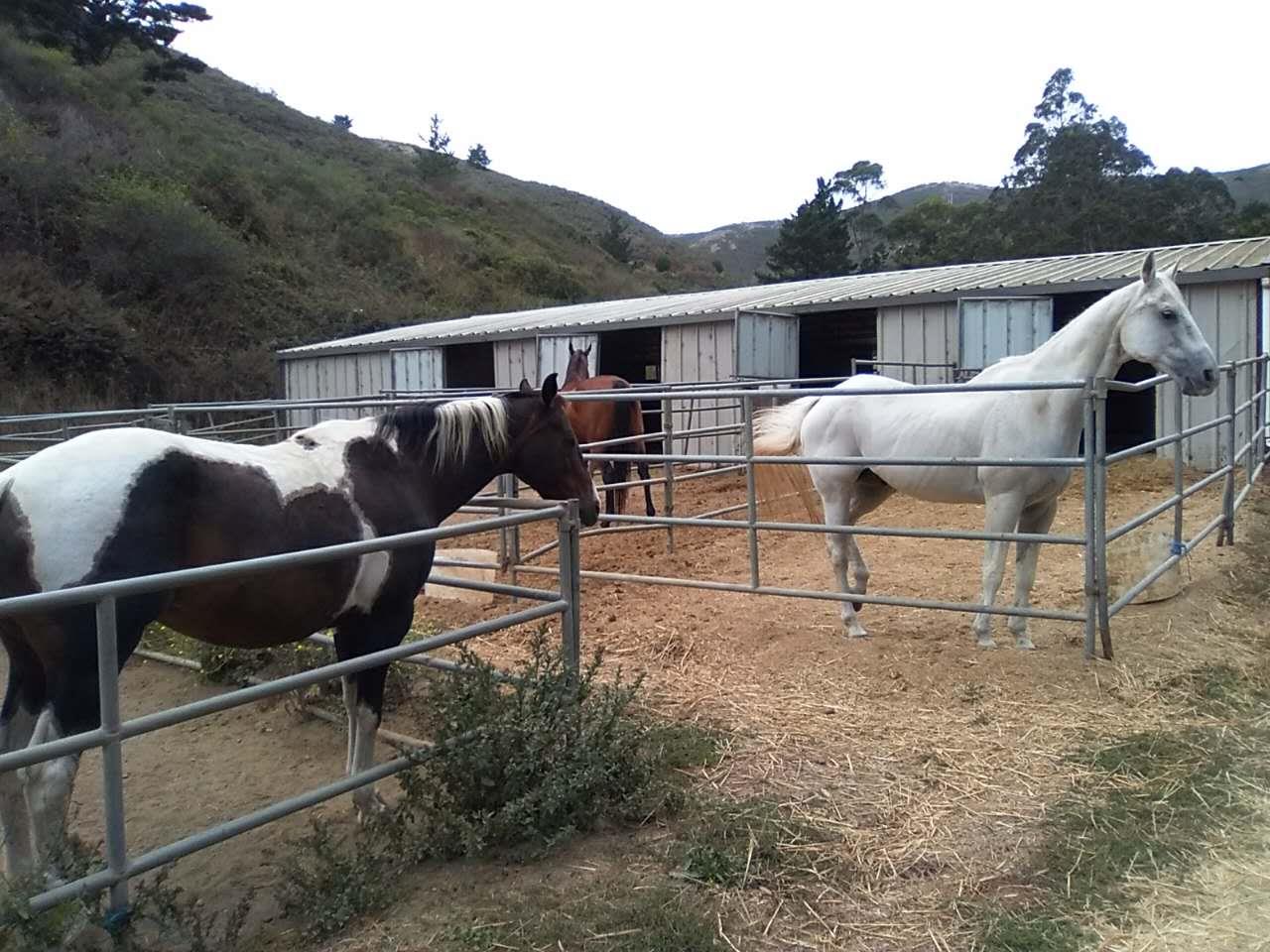 1 Picardo Ranch, PACIFICA, California 94044, ,Lots And Land,For Sale,Picardo Ranch,40967309