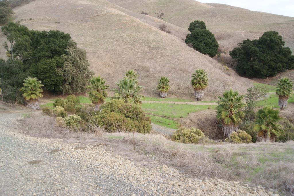 0 Perie Lane, SAN JOSE, California 95132, ,Lots And Land,For Sale,Perie Lane,40967305