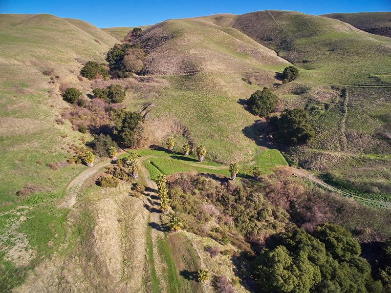 0 Perie Lane, SAN JOSE, California 95132, ,Lots And Land,For Sale,Perie Lane,40967305