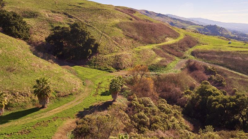 0 Perie Lane, SAN JOSE, California 95132, ,Lots And Land,For Sale,Perie Lane,40967305