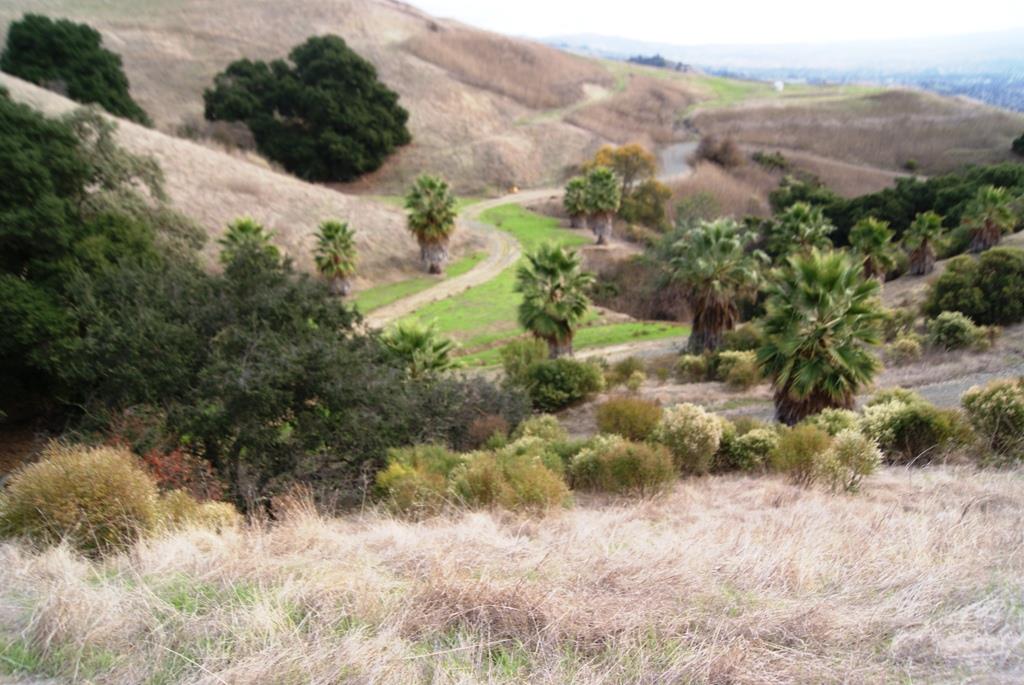 0 Perie Lane, SAN JOSE, California 95132, ,Lots And Land,For Sale,Perie Lane,40967305