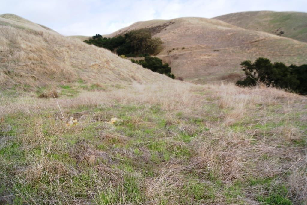0 Perie Lane, SAN JOSE, California 95132, ,Lots And Land,For Sale,Perie Lane,40967305