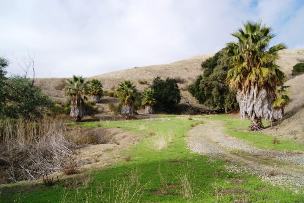0 Perie Lane, SAN JOSE, California 95132, ,Lots And Land,For Sale,Perie Lane,40967305