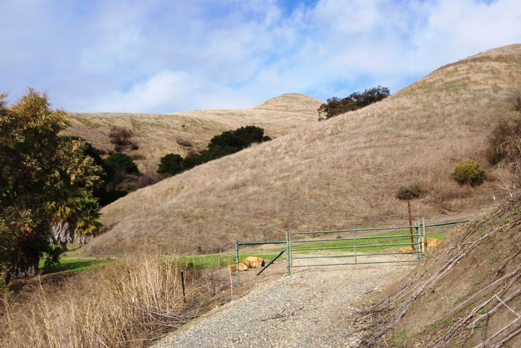 0 Perie Lane, SAN JOSE, California 95132, ,Lots And Land,For Sale,Perie Lane,40967305