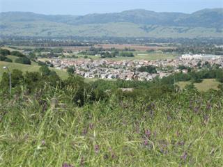 8950 Mimosa Court, GILROY, California 95020, ,Lots And Land,For Sale,Mimosa Court,40967316