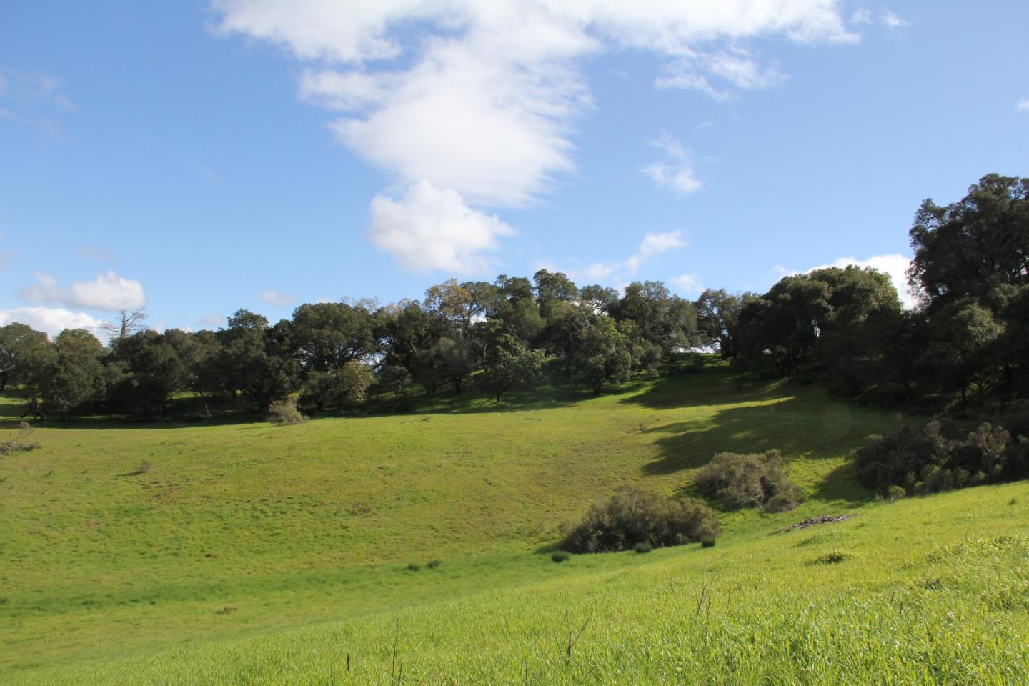 153 Marva Oaks Drive, WOODSIDE, California 94062, ,Lots And Land,For Sale,Marva Oaks Drive,40962275