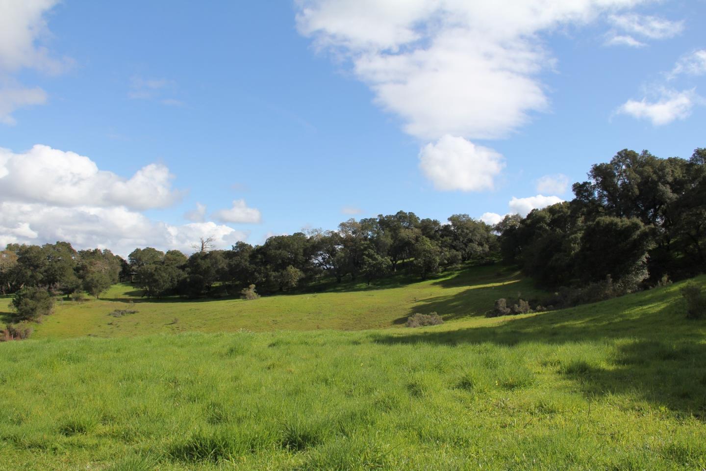 153 Marva Oaks Drive, WOODSIDE, California 94062, ,Lots And Land,For Sale,Marva Oaks Drive,40962275