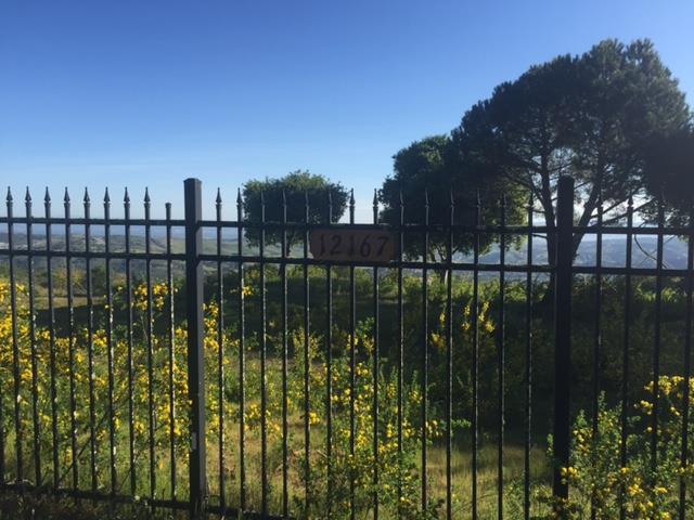 12167 Saddle, CARMEL VALLEY, California 93924, ,Lots And Land,For Sale,Saddle,40962103