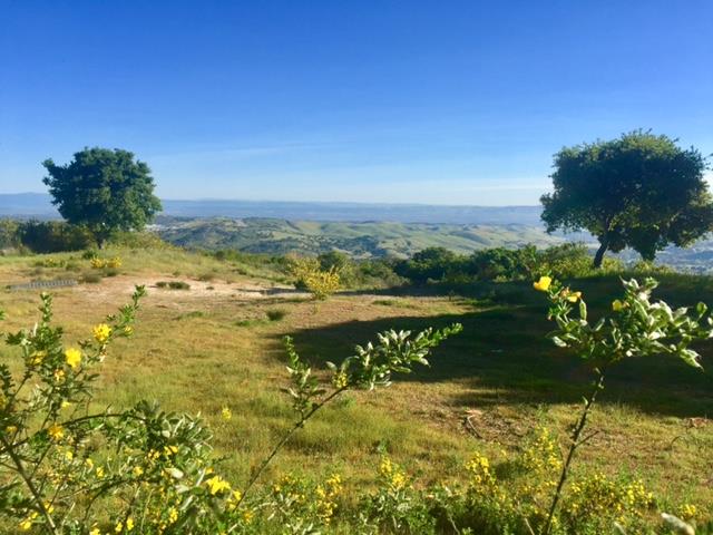12167 Saddle, CARMEL VALLEY, California 93924, ,Lots And Land,For Sale,Saddle,40962103