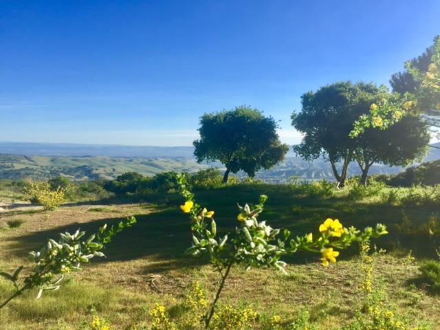 12167 Saddle, CARMEL VALLEY, California 93924, ,Lots And Land,For Sale,Saddle,40962103