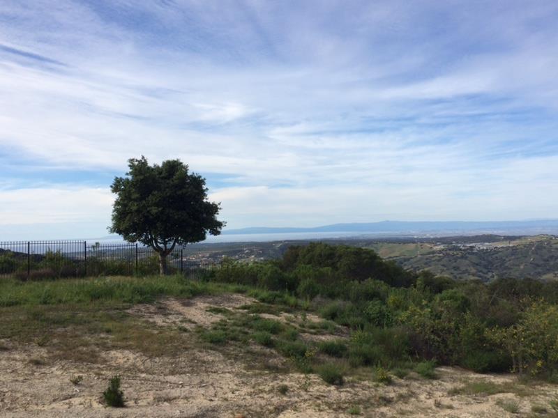 12167 Saddle, CARMEL VALLEY, California 93924, ,Lots And Land,For Sale,Saddle,40962103