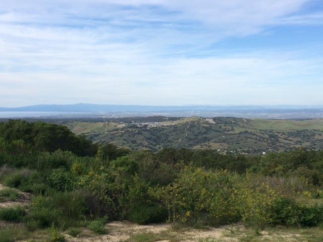 12167 Saddle, CARMEL VALLEY, California 93924, ,Lots And Land,For Sale,Saddle,40962103