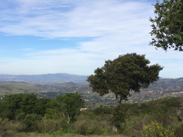 12167 Saddle, CARMEL VALLEY, California 93924, ,Lots And Land,For Sale,Saddle,40962103