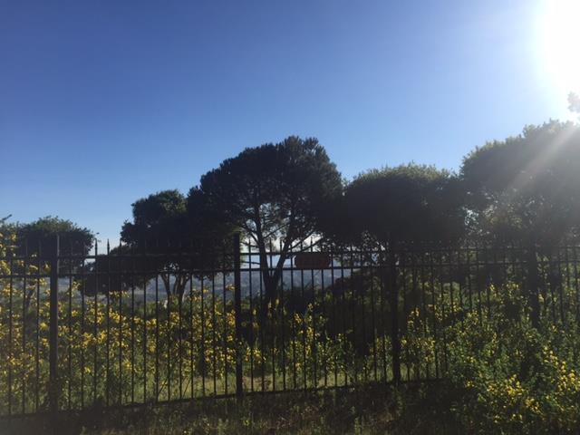 12167 Saddle, CARMEL VALLEY, California 93924, ,Lots And Land,For Sale,Saddle,40962103