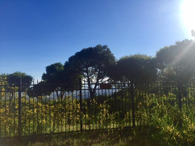 12167 Saddle, CARMEL VALLEY, California 93924, ,Lots And Land,For Sale,Saddle,40962103