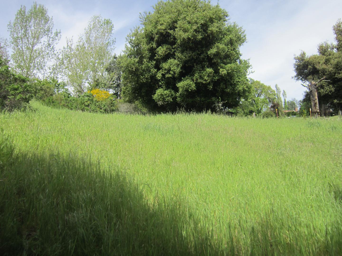 0 Scenic Drive, LA HONDA, California 94020, ,Lots And Land,For Sale,Scenic Drive,40967318