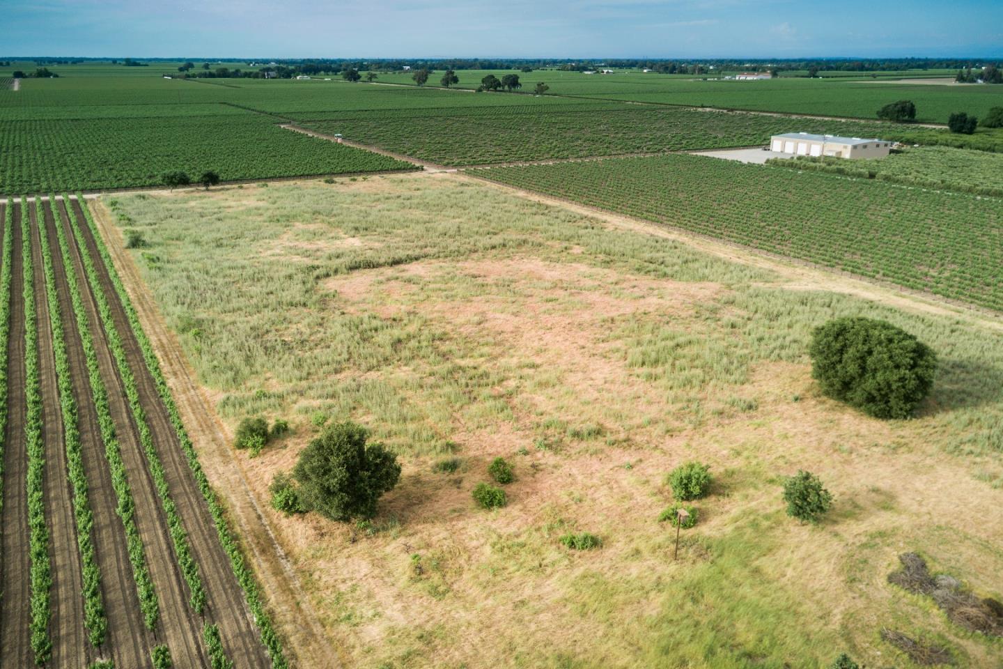 2515 SARGENT Road, LODI, California 95242, ,Lots And Land,For Sale,SARGENT Road,40967320