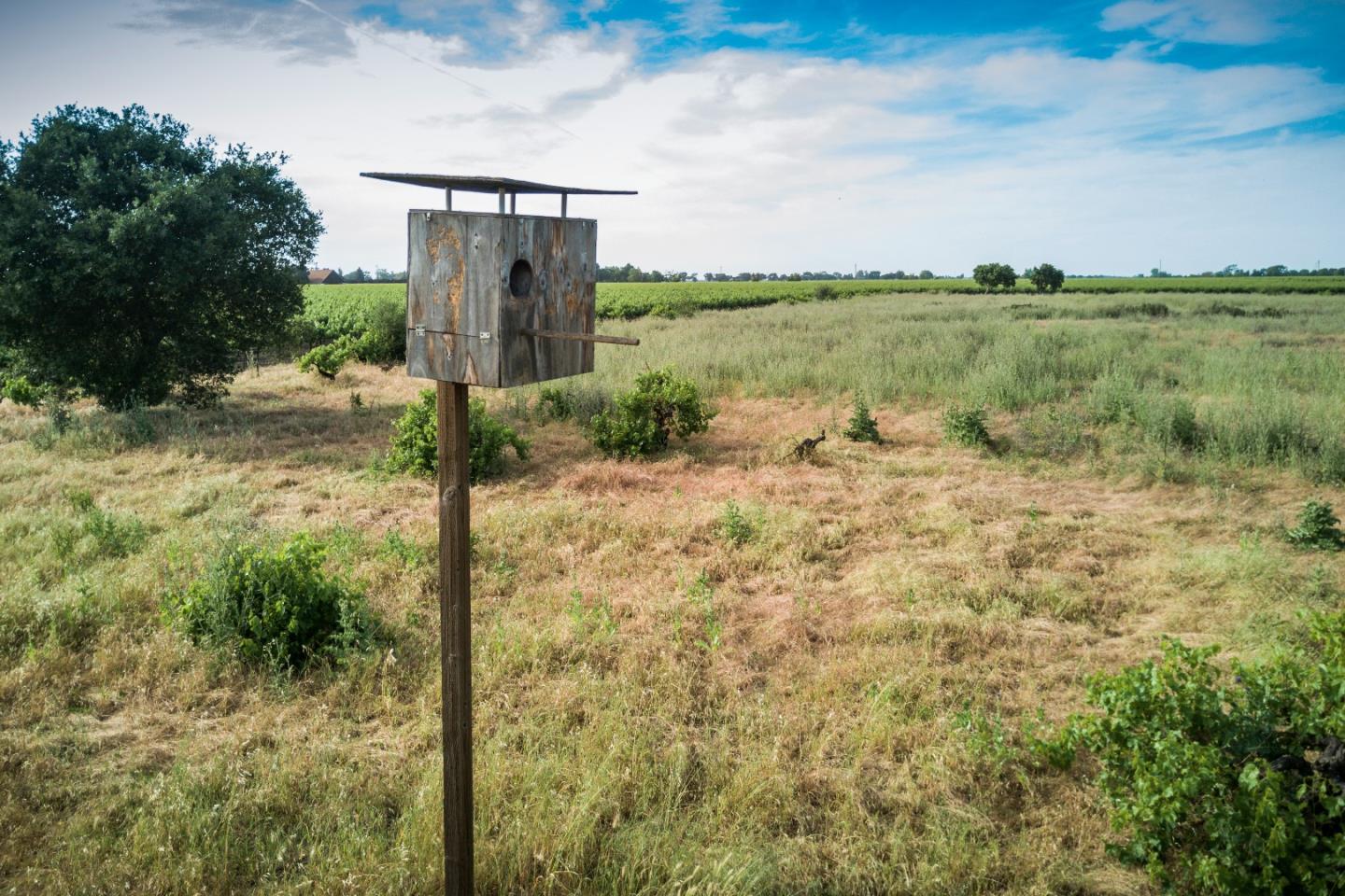 2515 SARGENT Road, LODI, California 95242, ,Lots And Land,For Sale,SARGENT Road,40967320