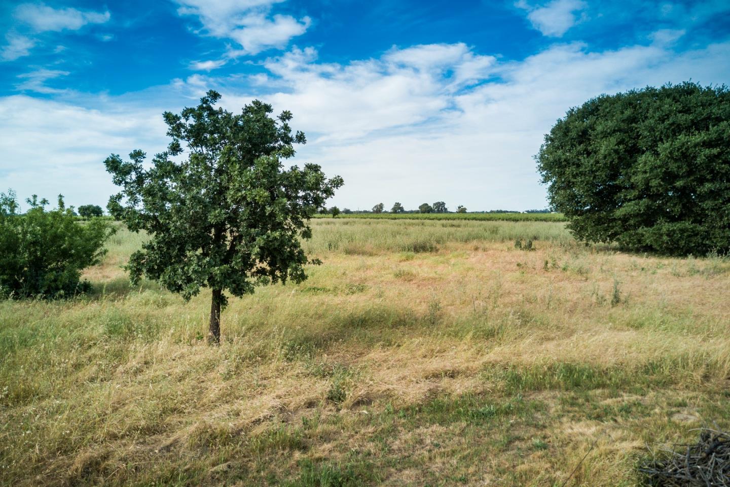 2515 SARGENT Road, LODI, California 95242, ,Lots And Land,For Sale,SARGENT Road,40967320