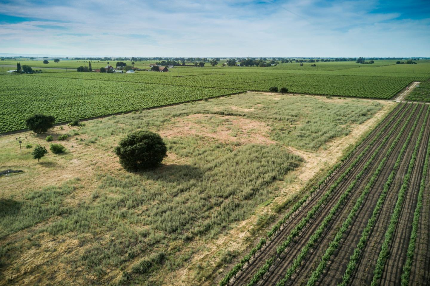 2515 SARGENT Road, LODI, California 95242, ,Lots And Land,For Sale,SARGENT Road,40967320