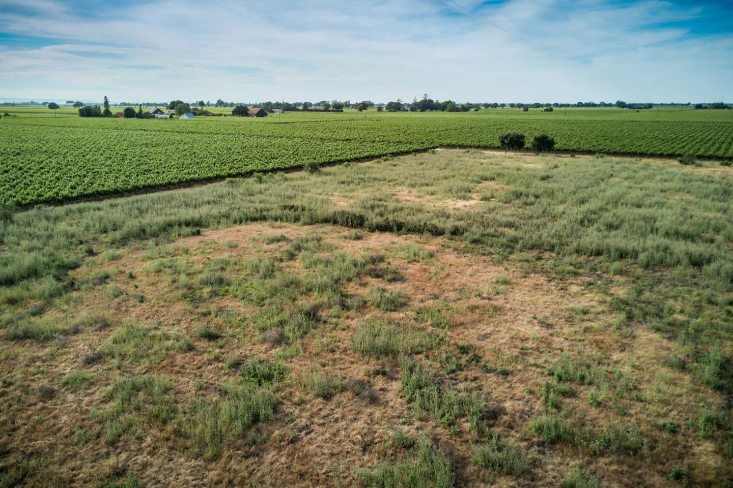 2515 SARGENT Road, LODI, California 95242, ,Lots And Land,For Sale,SARGENT Road,40967320