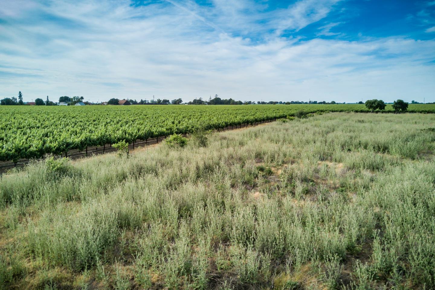 2515 SARGENT Road, LODI, California 95242, ,Lots And Land,For Sale,SARGENT Road,40967320