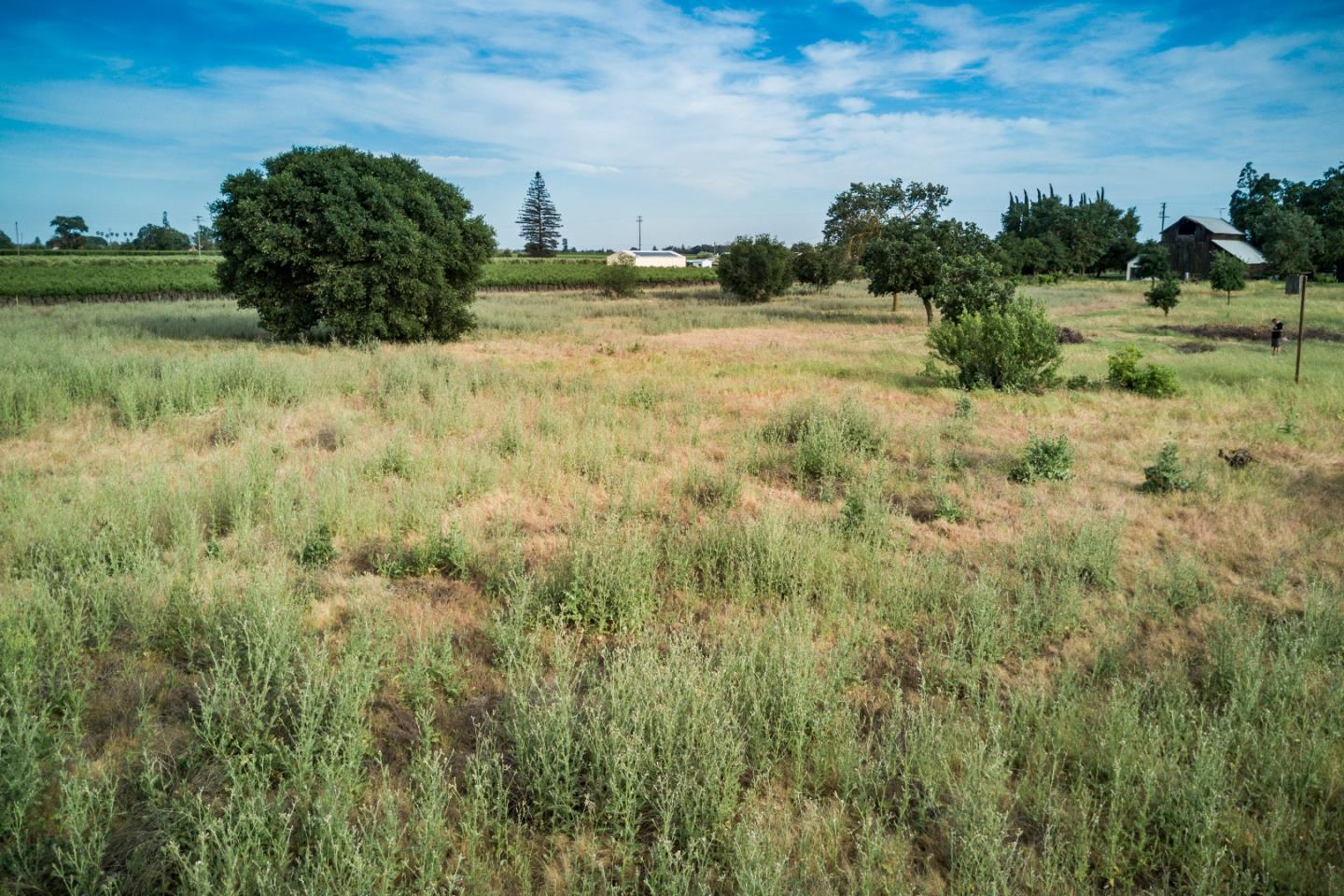 2515 SARGENT Road, LODI, California 95242, ,Lots And Land,For Sale,SARGENT Road,40967320