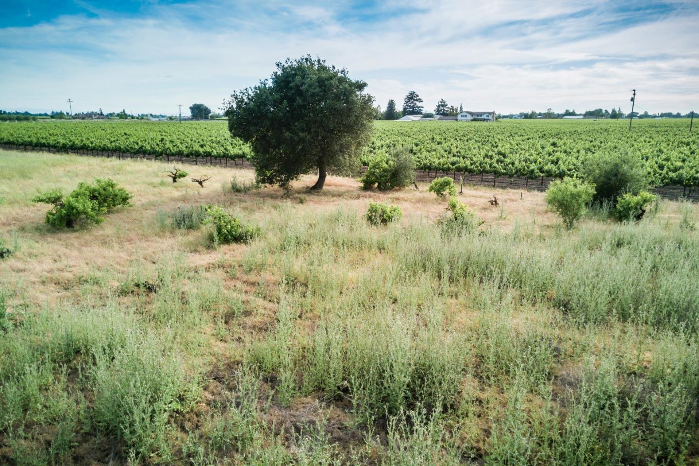 2515 SARGENT Road, LODI, California 95242, ,Lots And Land,For Sale,SARGENT Road,40967320