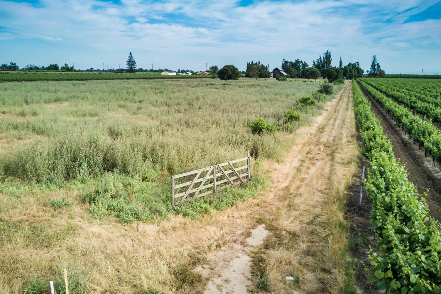 2515 SARGENT Road, LODI, California 95242, ,Lots And Land,For Sale,SARGENT Road,40967320