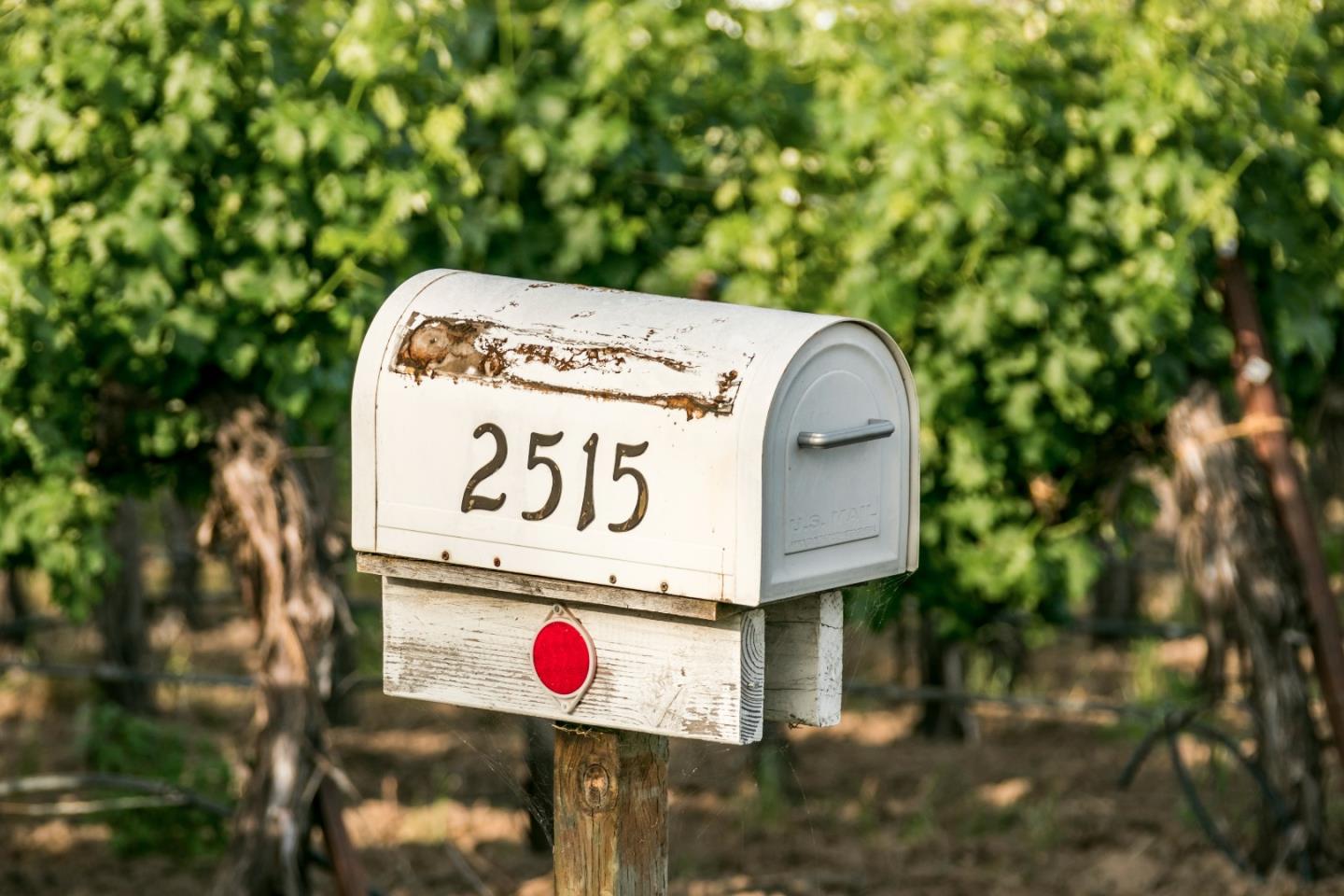 2515 SARGENT Road, LODI, California 95242, ,Lots And Land,For Sale,SARGENT Road,40967320