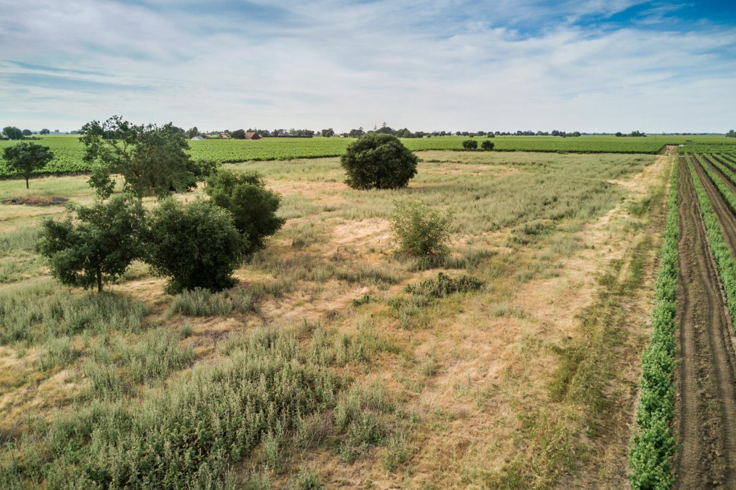 2515 SARGENT Road, LODI, California 95242, ,Lots And Land,For Sale,SARGENT Road,40967320