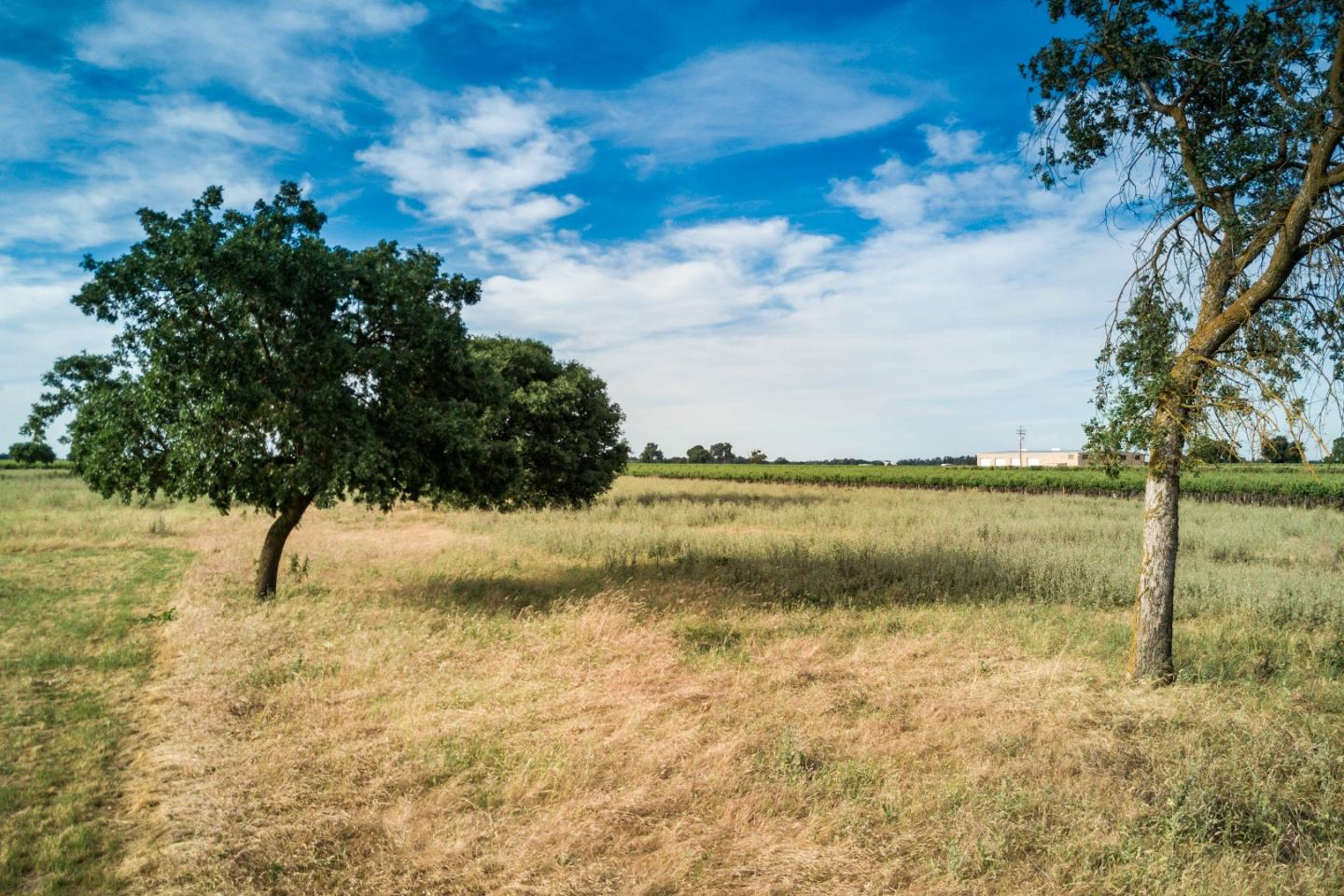 2515 SARGENT Road, LODI, California 95242, ,Lots And Land,For Sale,SARGENT Road,40967320