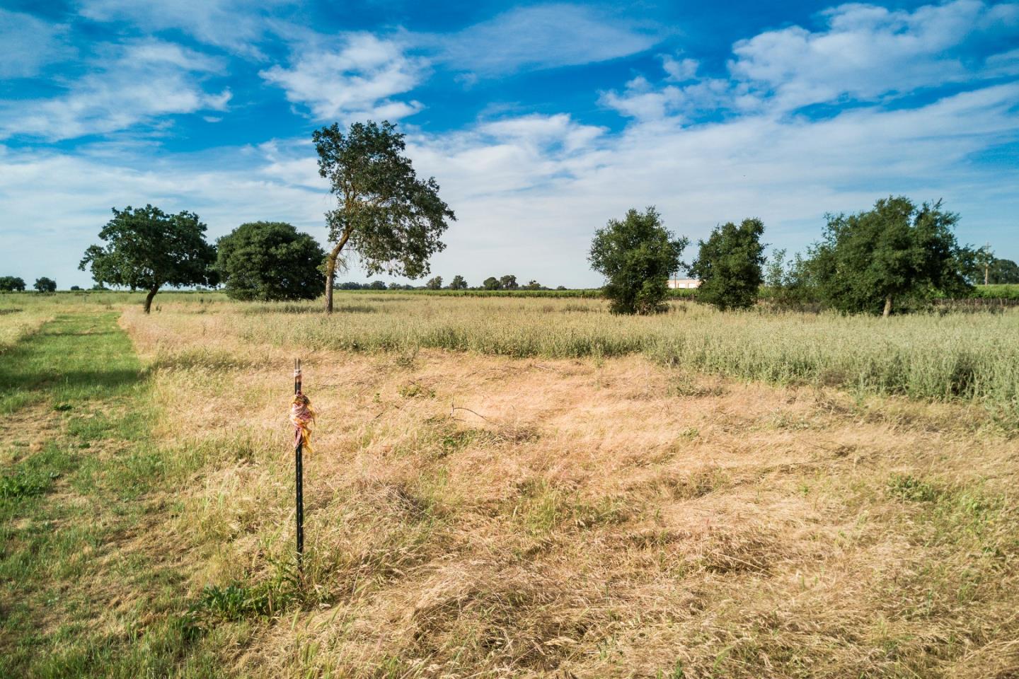 2515 SARGENT Road, LODI, California 95242, ,Lots And Land,For Sale,SARGENT Road,40967320