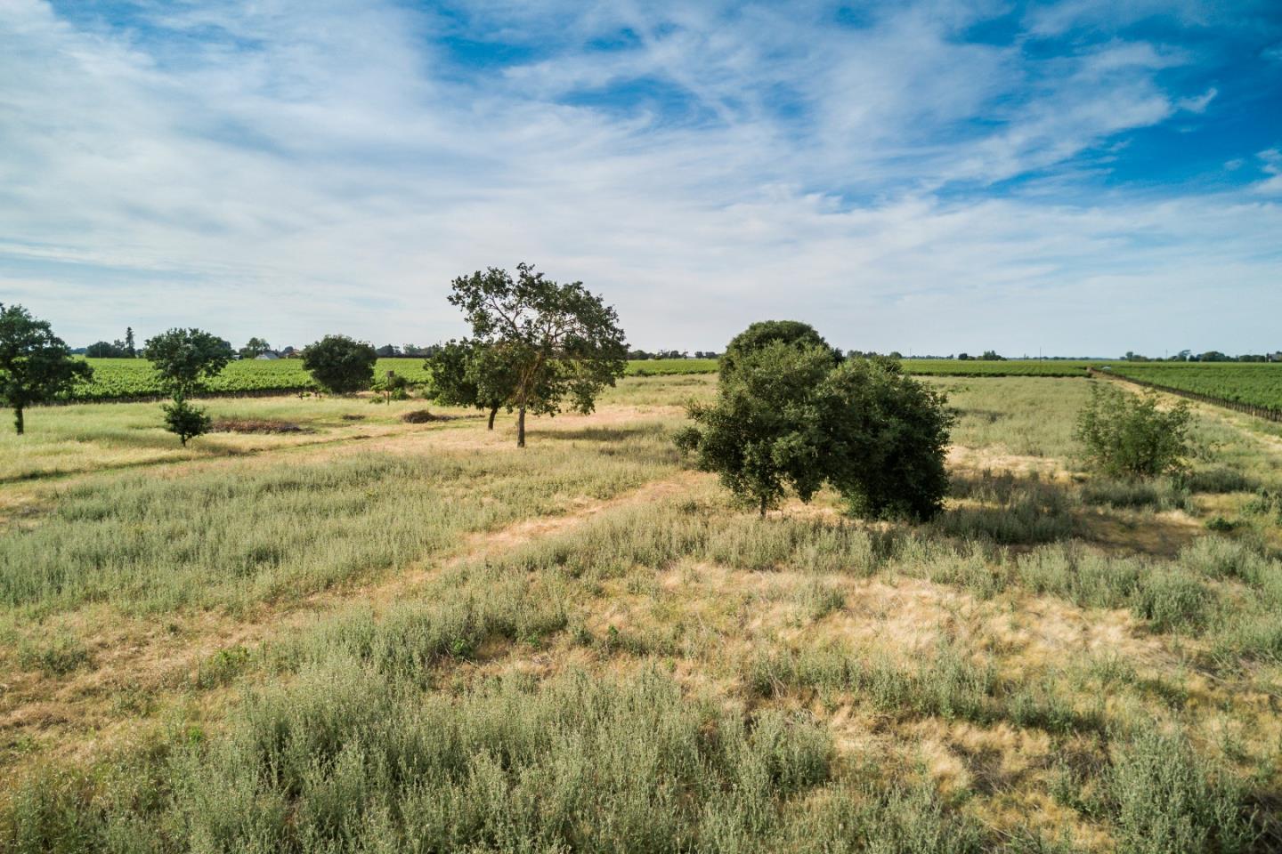 2515 SARGENT Road, LODI, California 95242, ,Lots And Land,For Sale,SARGENT Road,40967320
