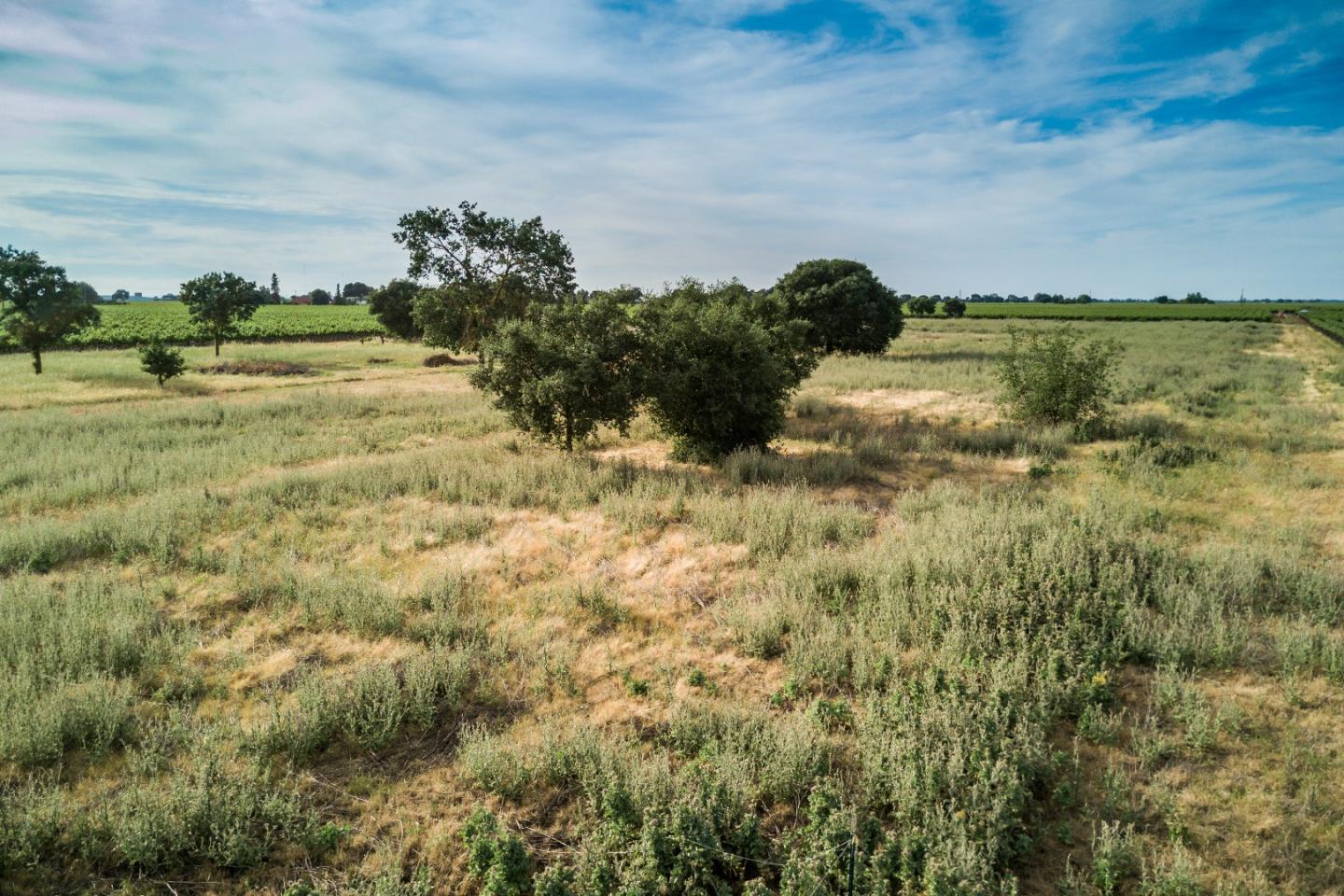 2515 SARGENT Road, LODI, California 95242, ,Lots And Land,For Sale,SARGENT Road,40967320