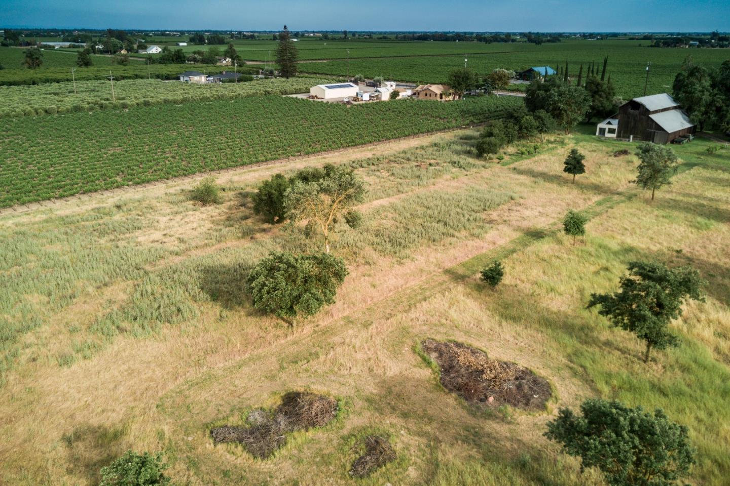 2515 SARGENT Road, LODI, California 95242, ,Lots And Land,For Sale,SARGENT Road,40967320