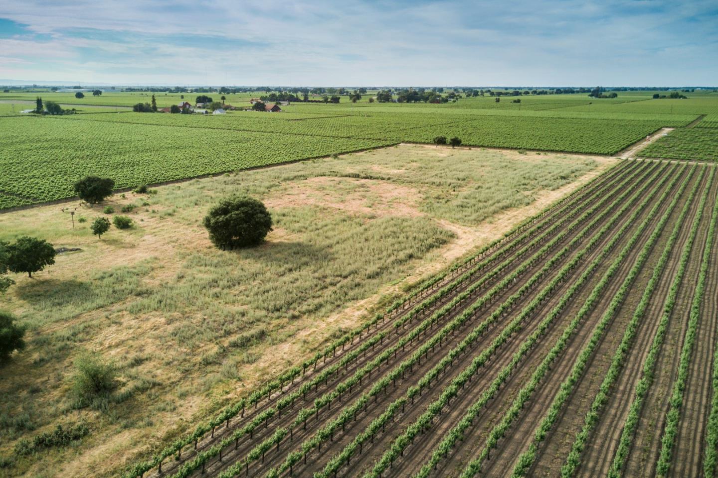2515 SARGENT Road, LODI, California 95242, ,Lots And Land,For Sale,SARGENT Road,40967320